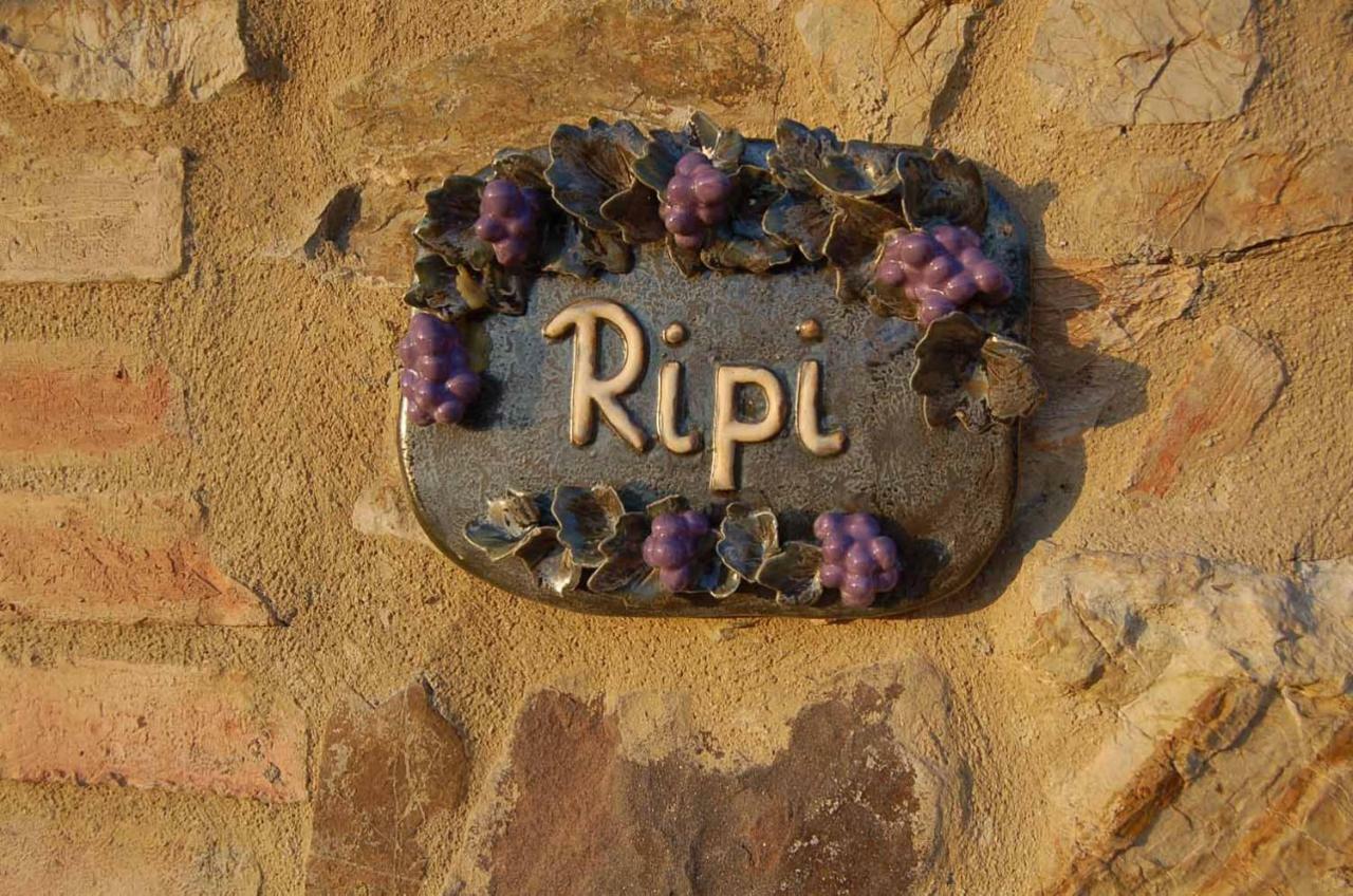 Podere Ripi Βολτέρρα Εξωτερικό φωτογραφία